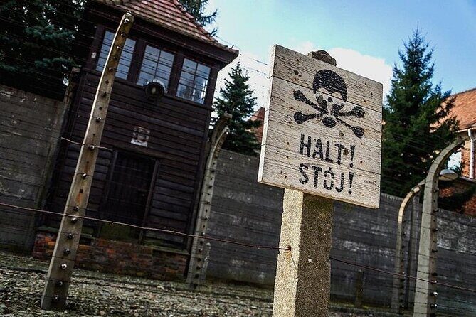 Krakow: Auschwitz-Birkenau Guided Tour & Hotel Pick Up - Hotel pickup in Krakow: the part that saves your morning (or whole day)