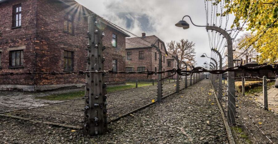 Kraków: Auschwitz-Birkenau & Salt Mine Full-Day Guided Tour - Auschwitz II–Birkenau: seeing how the Final Solution was carried out