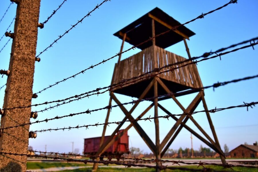 Kraków: Auschwitz-Birkenau & Salt Mine Full-Day Guided Tour - Timing, comfort, and who this tour fits best