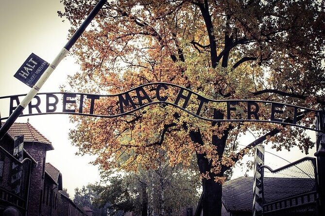 Krakow: Auschwitz-Birkenau Tour & Museum Expert Guide - Timing, Walking, Breaks, and Heat: How to Survive a 7–8 Hour Day