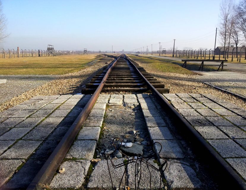 Krakow: Auschwitz-Birkenau & Wieliczka Salt Mine with Lunch - Price and value at about $251: what you’re paying for