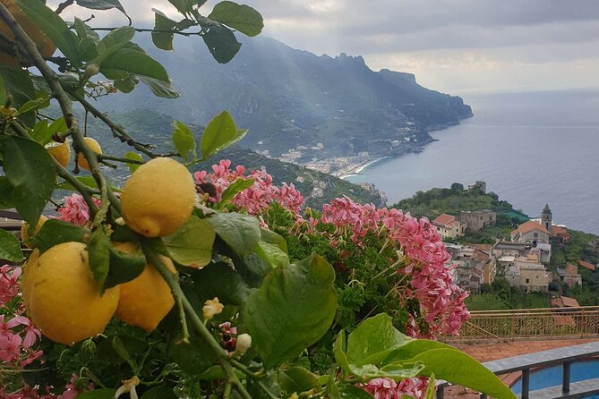 Luxury Tour from Positano to Pompei Ravello Amalfi - Luxury transport that actually matters on an Amalfi Coast day