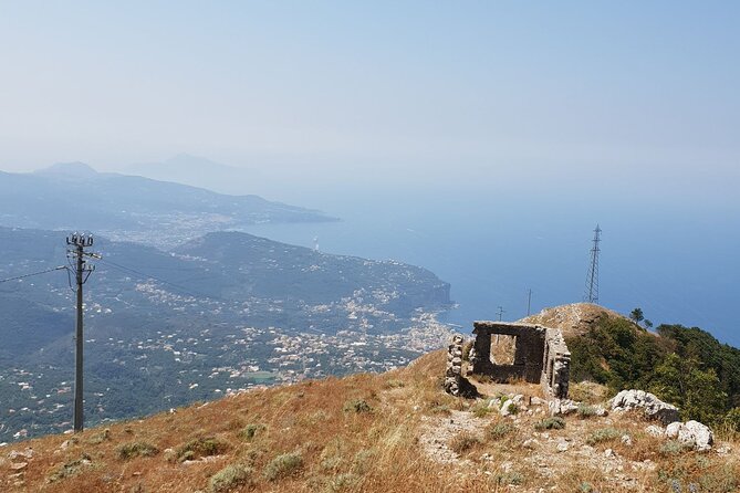 Luxury Tour from Positano to Pompei Ravello Amalfi - Who this Positano to Pompeii to Ravello Amalfi day suits best