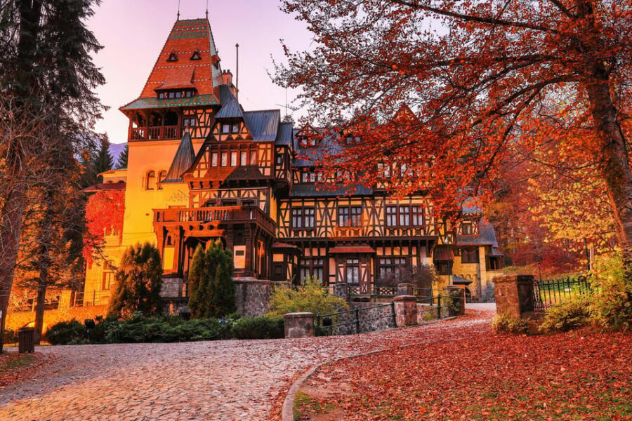 Minivan 8 Places : Dracula Castle, Peles, & Brasov Day Tour - Value for $67: what you get and what costs extra