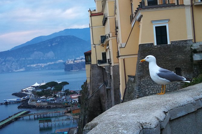 Minivan Tour | Positano Sorrento and Pompeii whit local driver - Group setup: private tour comfort without losing the easy logistics