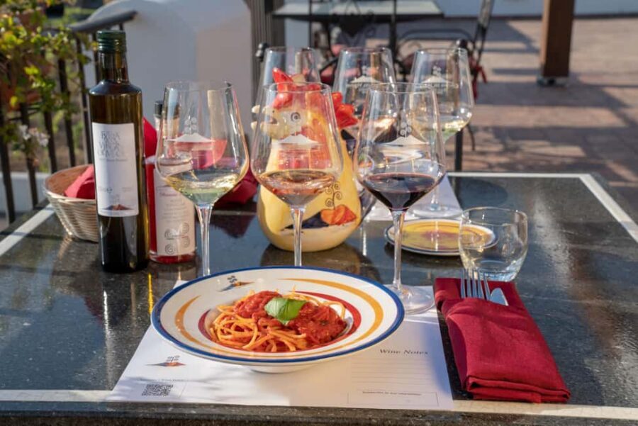 Mount Vesuvius: 5 Wine Tastings with Tour & Lunch Included - Key highlights at a glance
