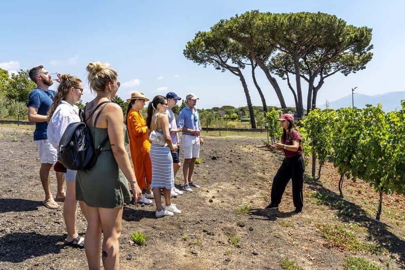 Mount Vesuvius: 5 Wine Tastings with Tour & Lunch Included - Why Vesuvius Vineyards Taste Different From the Rest of Campania