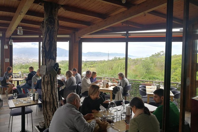Mount Vesuvius Shore Tour, Pompeii & Winery Vesuvius Winery - Trecase winery time at Cantina del Vesuvio (and why it’s worth the detour)