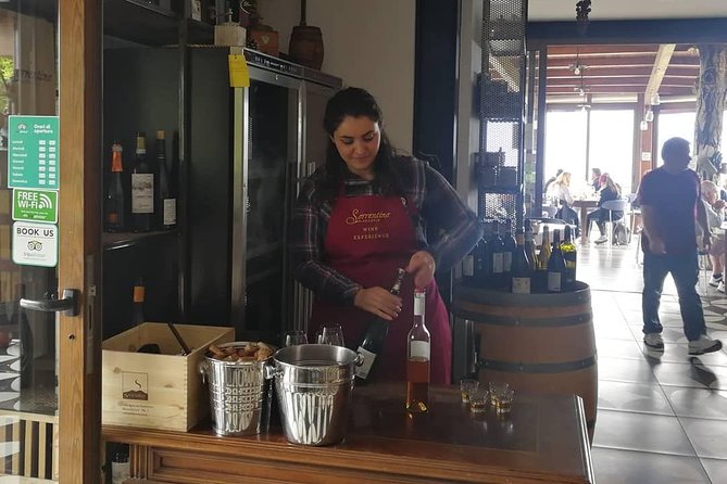 Mount Vesuvius Shore Tour, Pompeii & Winery Vesuvius Winery - Price and what you really get for $276.67