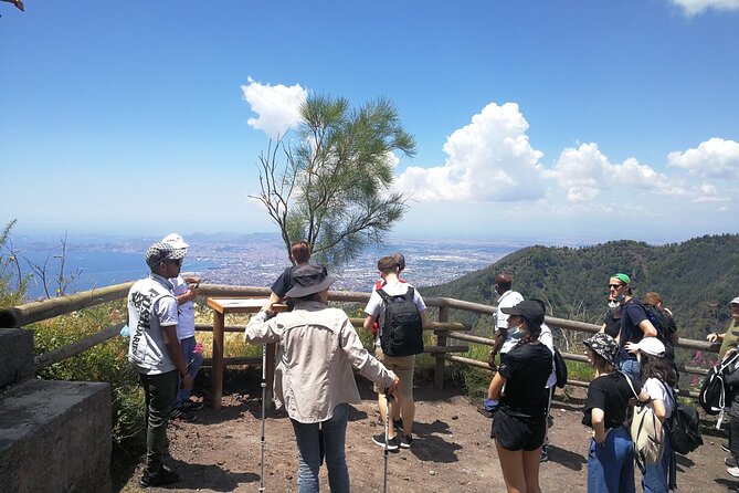Mount Vesuvius Shore Tour, Pompeii & Winery Vesuvius Winery - What this tour is best for (and who should skip it)