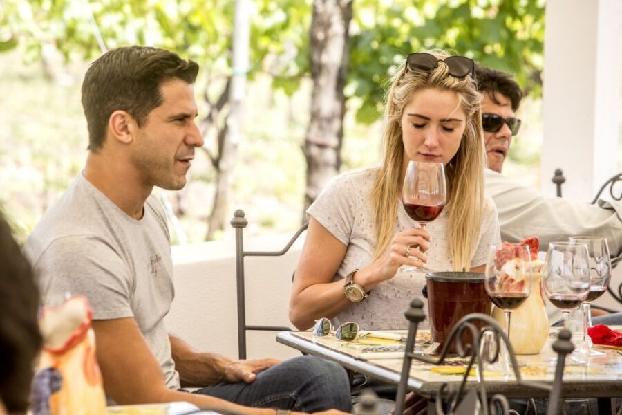 Mount Vesuvius: Vineyard Tour with Wine Tasting and Lunch - Price and logistics from Naples: the part that can make or break your day