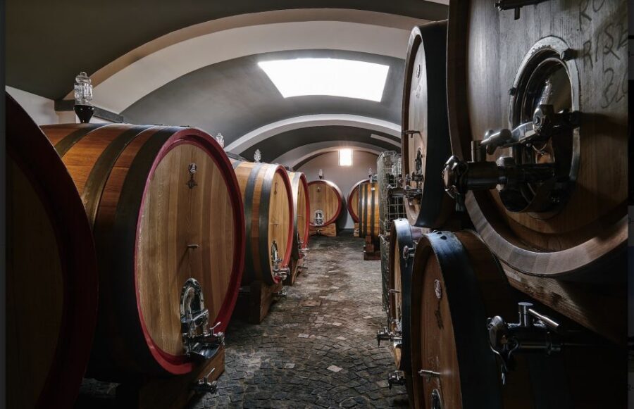 Mount Vesuvius: Vineyard Tour with Wine Tasting and Lunch - Who should book this Vesuvius wine and lunch experience