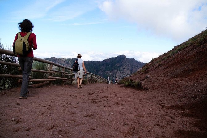 Mt Vesuvius and Pompeii Tour by Bus from Sorrento - Mount Vesuvius National Park: the 1,000-meter start and the climb reality