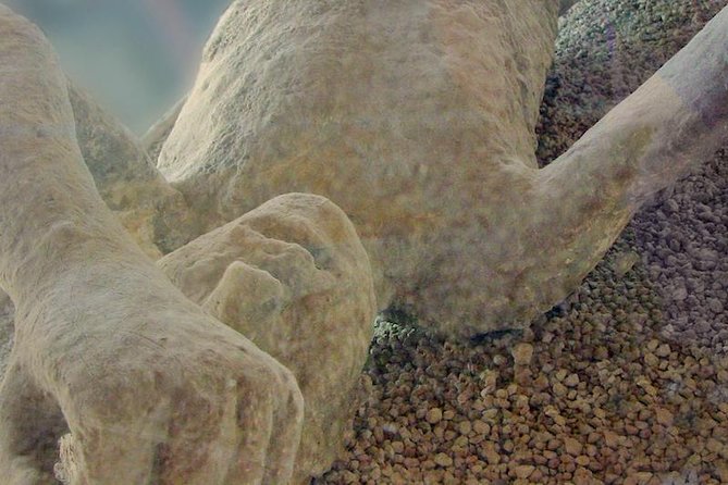 Mt Vesuvius and Pompeii Tour by Bus from Sorrento - Crater tickets and the best way to plan your volcano time