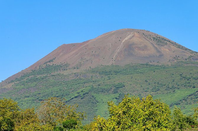 Mt Vesuvius Half-Day Trip from Naples - Price and value: is $77.86 reasonable for a half-day?