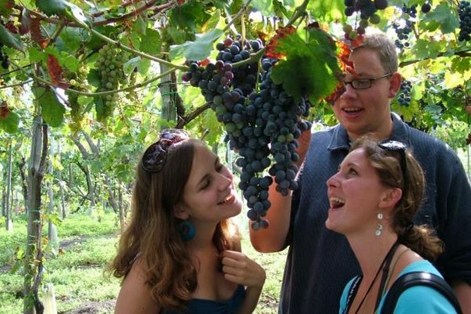Mt. Vesuvius Wine Tasting and Lunch Experience from Pompeii - Practical tips for a smoother Vesuvius day
