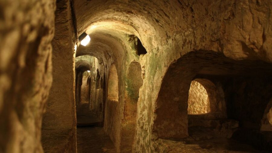 Naples: 7 Days Pass - Pompeii, Museums & Transport Included - Pompeii and Herculaneum by train: the best use of the pass