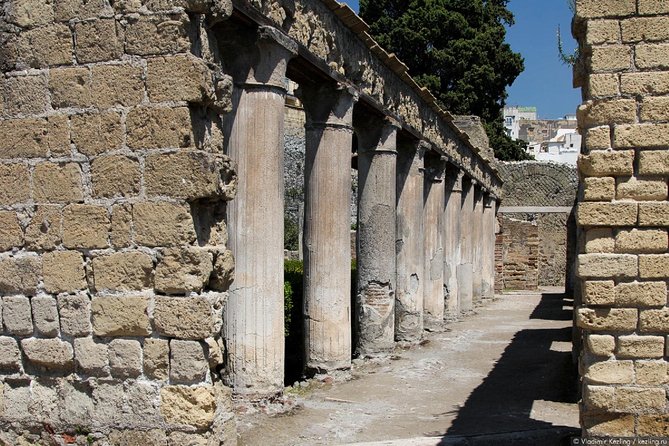 Naples: Pompeii, Herculaneum, and Vesuvius Tour by Minivan - Timing Reality: When 2 Hours Feels Like Enough (and When It Doesn’t)