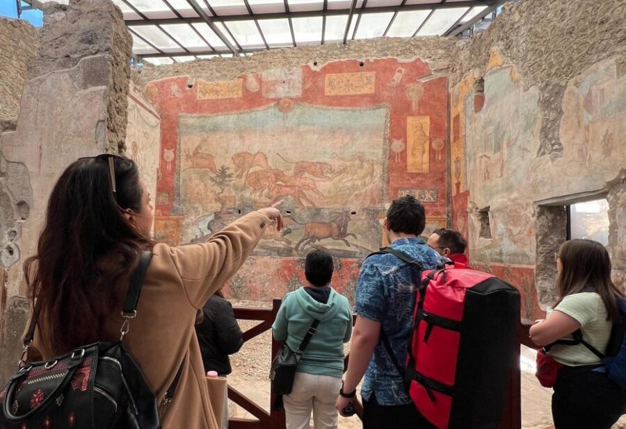 Naples: Pompeii & Mt. Vesuvius Day Trip with Tickets & Lunch - Price and What You Actually Get for Around $126 Per Person