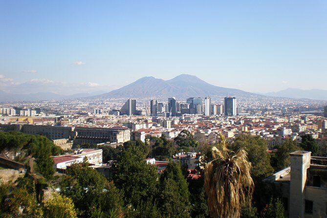 Naples Shore Excursion: Mt Vesuvius Half-Day Trip from Naples - Port pickup, regrouping, and the day-to-day flow