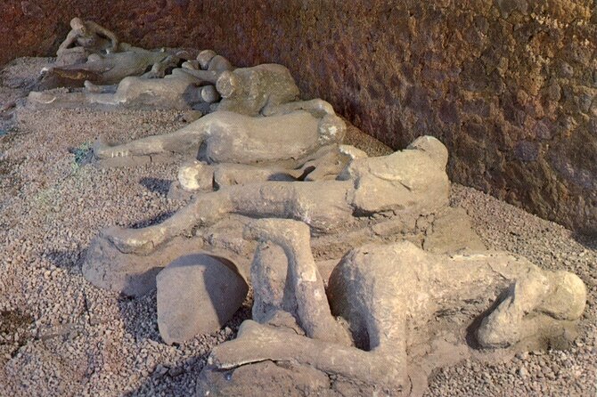 Naples Shore Excursion: Pompeii Independent Half-Day Trip - Shared minivan ride: comfortable, but timing can flex