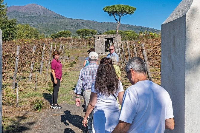 Naples: Tour of Mt Vesuvius and Pompeii w/ Lunch & Wine tasting - Guides, drivers, and why personalities shape the day