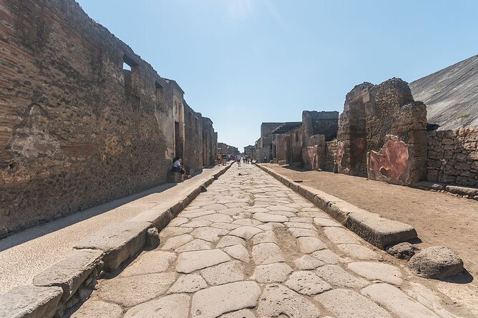 Naples transfer to Pompeii guided tour and Back - Timing, luggage, and group comfort: details that matter in real life