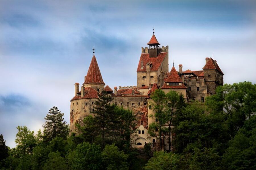 One day trip Bear Sanctuary, Dracula Castle - What to Bring and What to Expect on Arrival