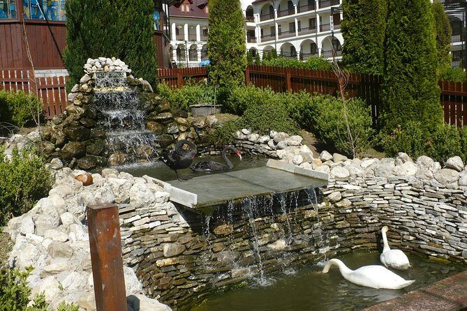 Peles Castle and optional Cantacuzino Castle from Brasov - Peles Castle and Pelisor Castle: royal glamour meets detail