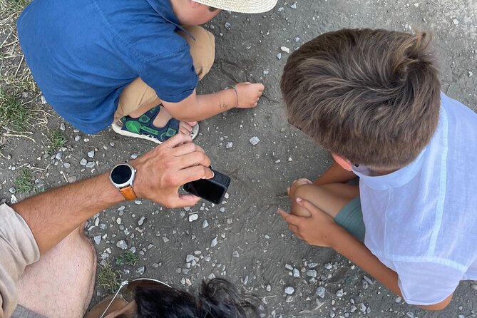 Pompei Adventure: A Tailored Tour for Families with Kids! - Getting started in Pompeii: meeting point, timing, and flow