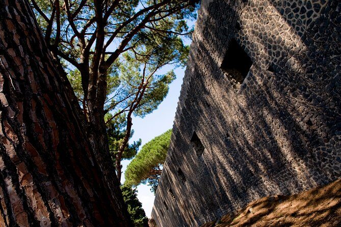 POMPEI Half Day TOUR - Departure from NAPLES Centre (TICKET INCLUDED) - Teatro Grande and the Streets: Grid Planning, Shops, and Victims’ Casts