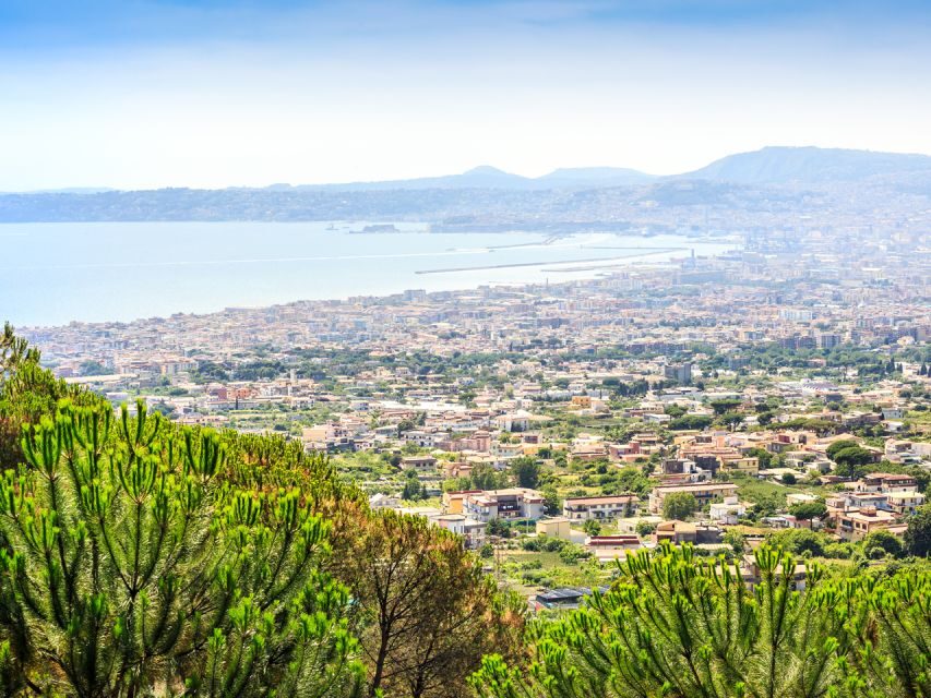 Pompei: Mount Vesuvius and Pompeii with Round-Trip Transfer - Pompeii Archaeological Park: Audio-Guided Ruins at Your Pace