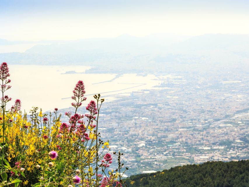 Pompei: Pompeii and Vesuvius Combo with Transfer and Tickets - Quick planning tips to make the day smoother