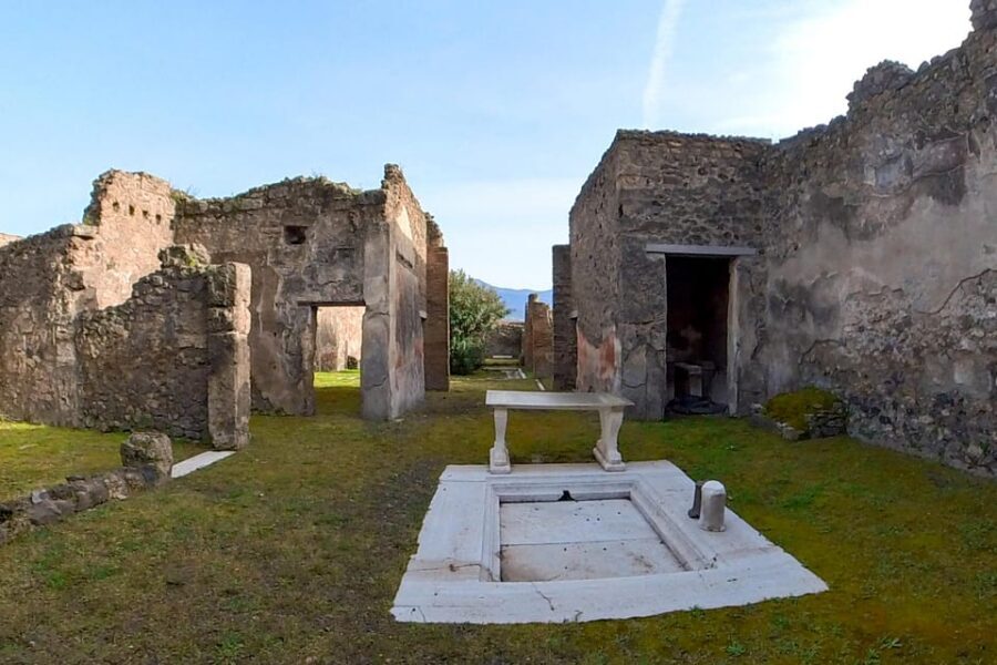 Pompeii: 2 Hours Skip the Line Visit with a Licensed Guide - Roman Forum: Where Politics and Commerce Played Out