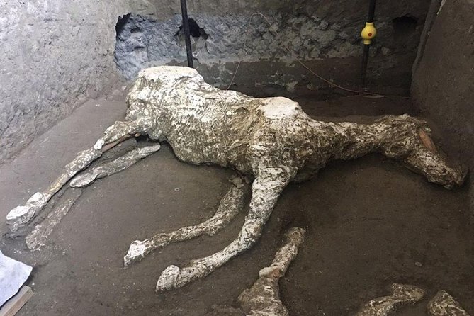 Pompeii and Amalfi Coast Day Trip from Naples - Timing, Heat, and What to Do Before You Go