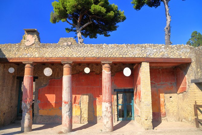 Pompeii and Herculaneum Private Walking Tour with an Archaeologist - Pompeii and Herculaneum in 5.5 hours: the big picture