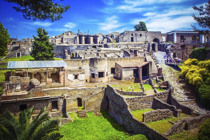 Pompeii and Herculaneum Ruins Private Tour - Who this private tour is best for