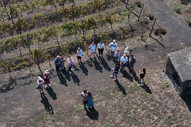 Pompeii and Naples From Rome: Private Full-Day Tour with Lunch - Walking Naples’ Historic Center: Castle Exteriors, Umberto I, and Via Toledo