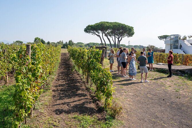Pompeii and Naples From Rome: Private Full-Day Tour with Lunch - Comfort, Pace, and Who This Trip Suits Best