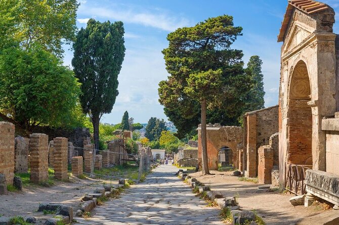 Pompeii and Naples Tour from Rome by Train with Lunch - Naples by Coach Tour Plus Free Time: Highlights With a Time Limit