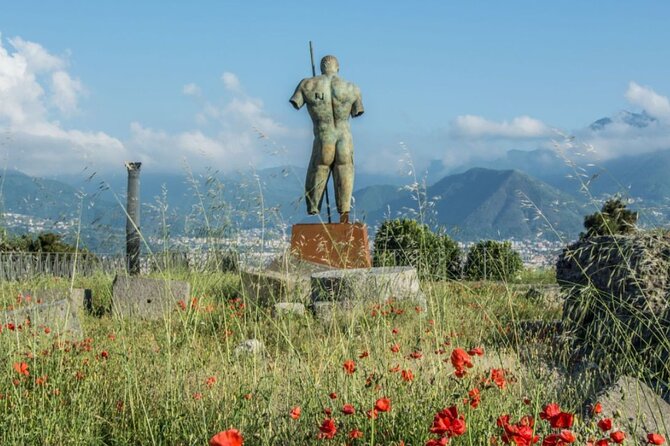 Pompeii and Naples Tour from Rome by Train with Lunch - Value Check: Is $269 a Good Deal for Pompeii + Naples?