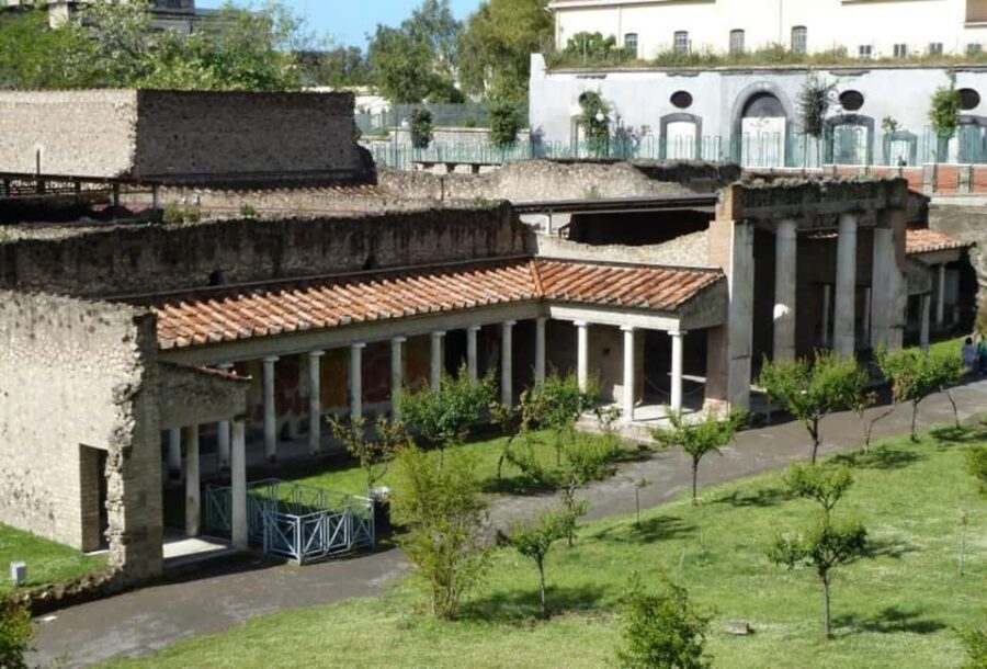 Pompeii and Oplontis: Small Group Tour with an Archaeologist - Who this Pompeii and Oplontis tour suits best