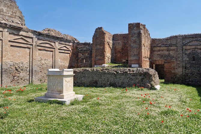 Pompeii and Sorrento Private Day Tour from Rome - The practical reality: walking shoes and pacing matter