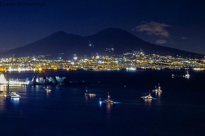 Pompeii and Vesuvius from Naples. Private activity - Key things to know before you go