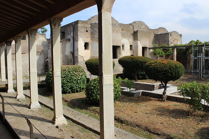 Pompeii and Vesuvius from Naples. Private activity - Should you book this Pompeii and Vesuvius private tour?