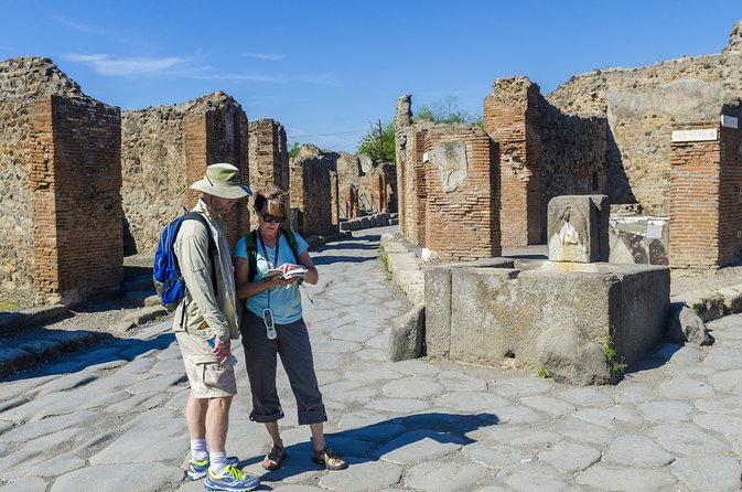 Pompeii and Vesuvius Full Day Private Shore Excursion - Pompeii stops you’ll actually want to remember