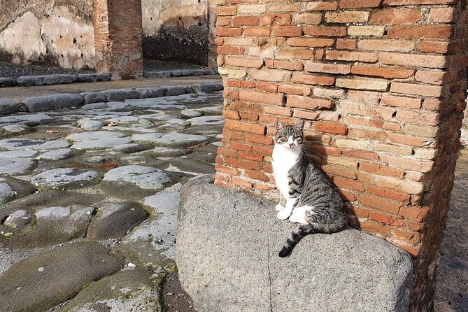 Pompeii and Vesuvius Tour with Pickup - Pompeii Archaeological Park: start strong with a licensed guide
