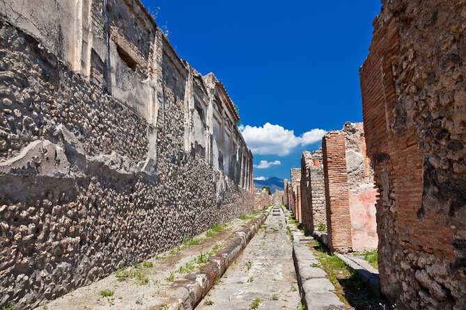 Pompeii and Vesuvius Wine Tasting Private Tour - Key highlights you’ll care about