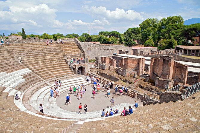 Pompeii and Vesuvius Wine Tasting Private Tour - Naples pickup to Pompeii: start smooth, not stress
