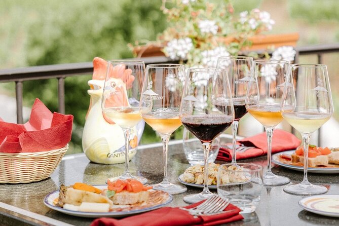 Pompeii and Vesuvius Wine Tasting Private Tour - Private guides and shifting teams: how to get the best English narration